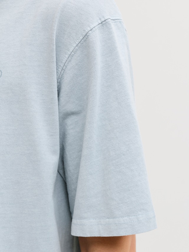 Jack & Jones T-Shirt »JPRBLUAIDEN SS TEE« Baumwolle, regular fit