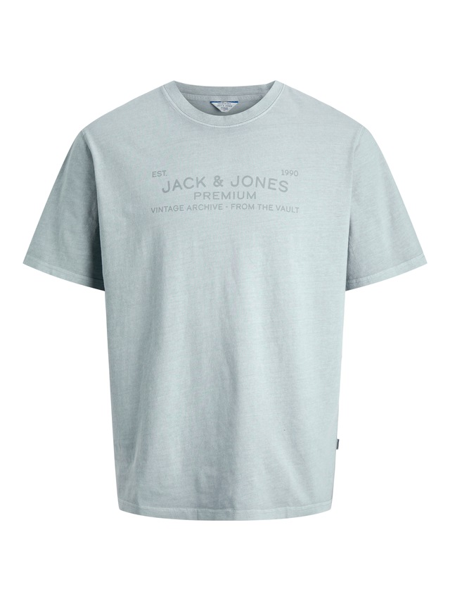 Jack & Jones T-Shirt »JPRBLUAIDEN SS TEE« Baumwolle, regular fit