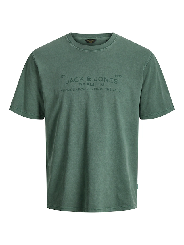 Jack & Jones T-Shirt »JPRBLUAIDEN SS TEE« Baumwolle, regular fit
