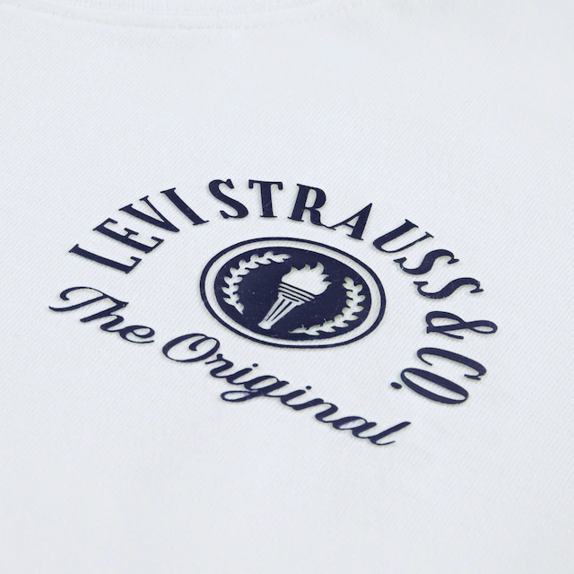 Levi's® Kids T-Shirt »LVB URBAN PREP TEE« für Boys, mit Print