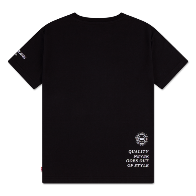 Levi's® Kids T-Shirt »LVB URBAN PREP TEE« für Boys, mit Print