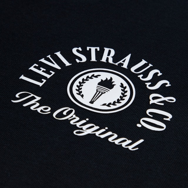 Levi's® Kids T-Shirt »LVB URBAN PREP TEE« für Boys, mit Print
