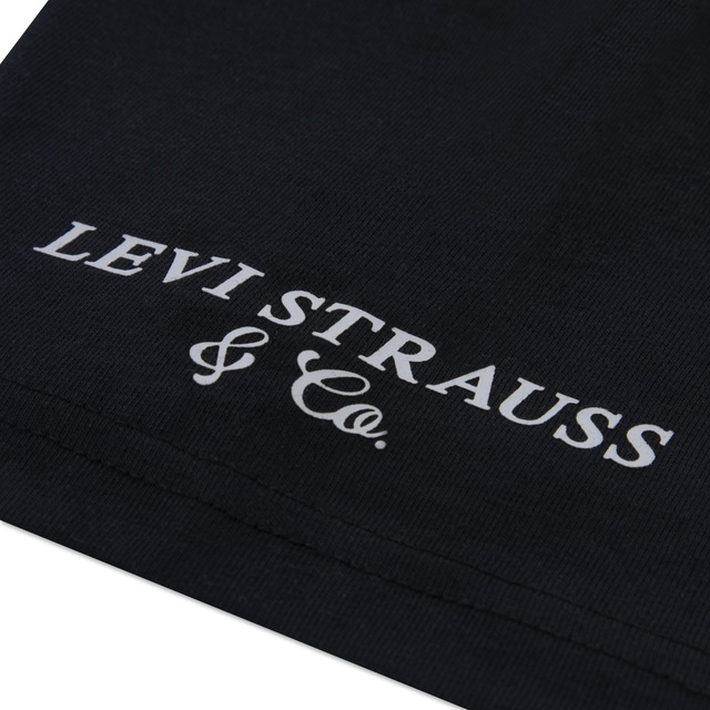 Levi's® Kids T-Shirt »LVB URBAN PREP TEE« für Boys, mit Print