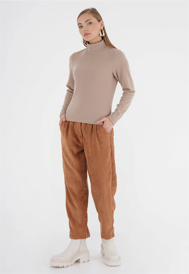 freshlions Rollkragenpullover »Havin« 1 Stk. mit Stehkragen