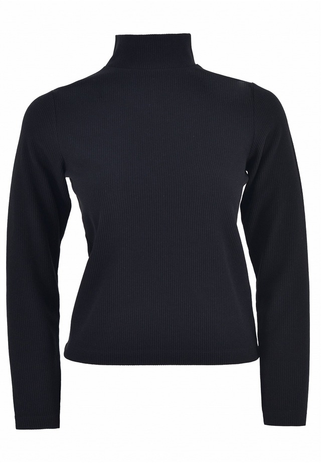 freshlions Rollkragenpullover »Havin« 1 Stk. mit Stehkragen