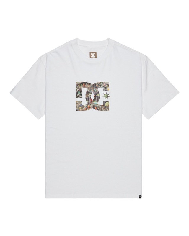 DC Shoes T-Shirt »DC Star Filled«