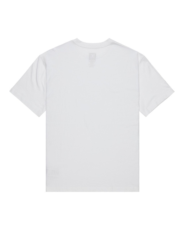 DC Shoes T-Shirt »DC Star Filled«