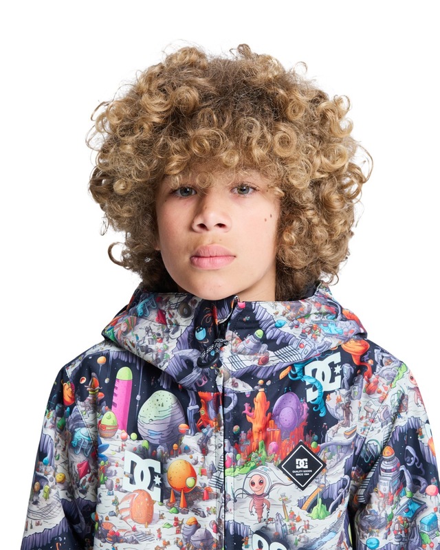 DC Shoes Snowboardjacke »Basis Print«
