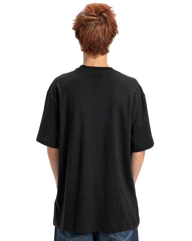 DC Shoes T-Shirt »Substitute«