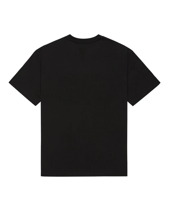 DC Shoes T-Shirt »Substitute«