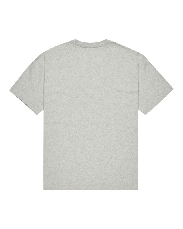 DC Shoes T-Shirt »Substitute«
