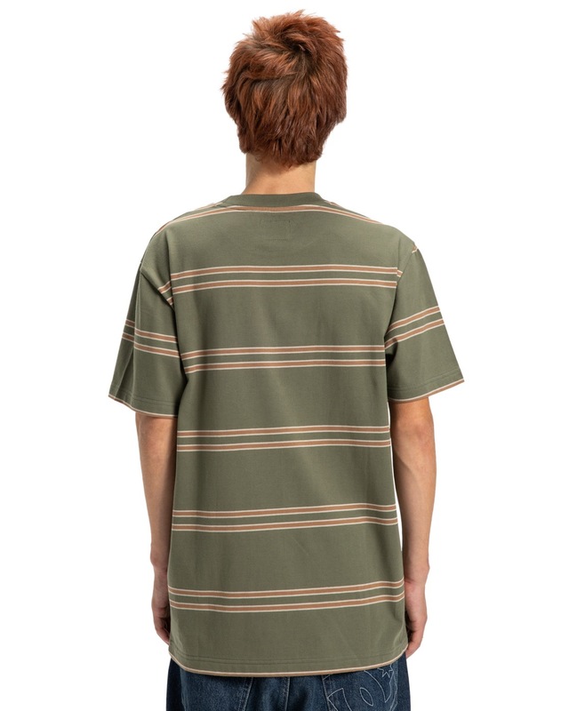 DC Shoes Rundhalsshirt »Maximize Stripe«