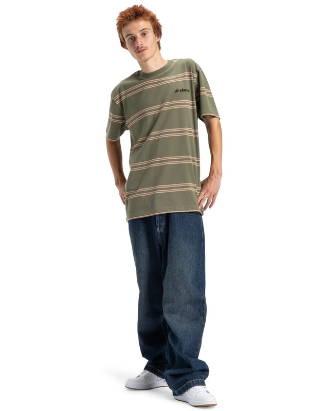 DC Shoes Rundhalsshirt »Maximize Stripe«