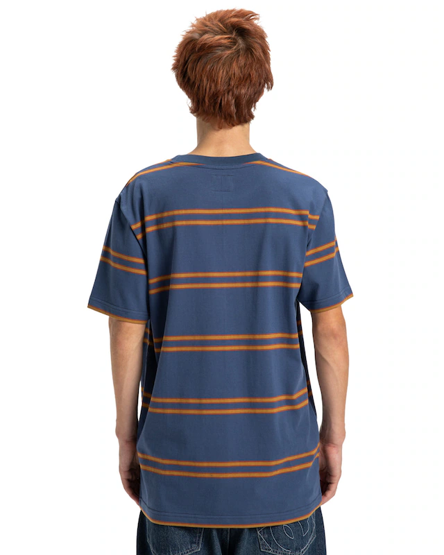 DC Shoes Rundhalsshirt »Maximize Stripe«