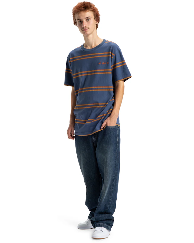 DC Shoes Rundhalsshirt »Maximize Stripe«