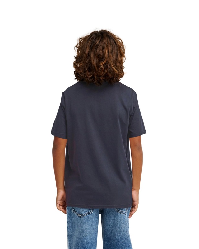 Quiksilver T-Shirt »Ev Comp Logo«