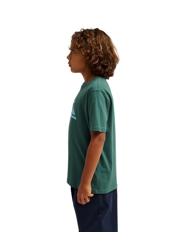 Quiksilver T-Shirt »Ev Comp Logo«
