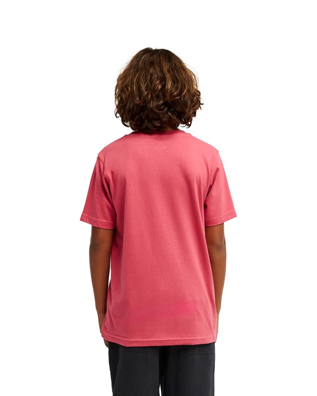 Quiksilver T-Shirt »Ev Comp Logo«