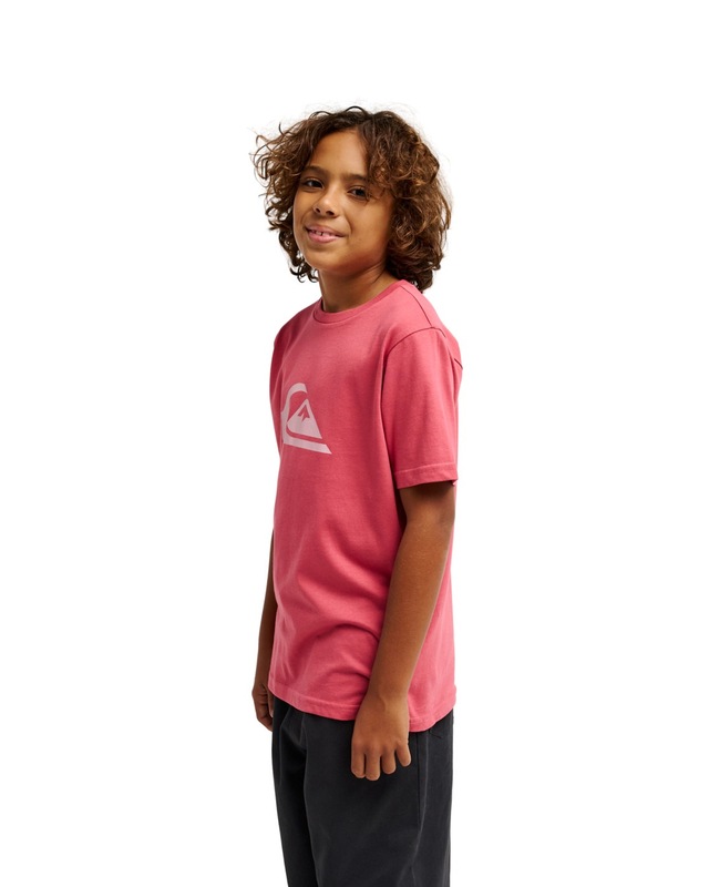 Quiksilver T-Shirt »Ev Comp Logo«
