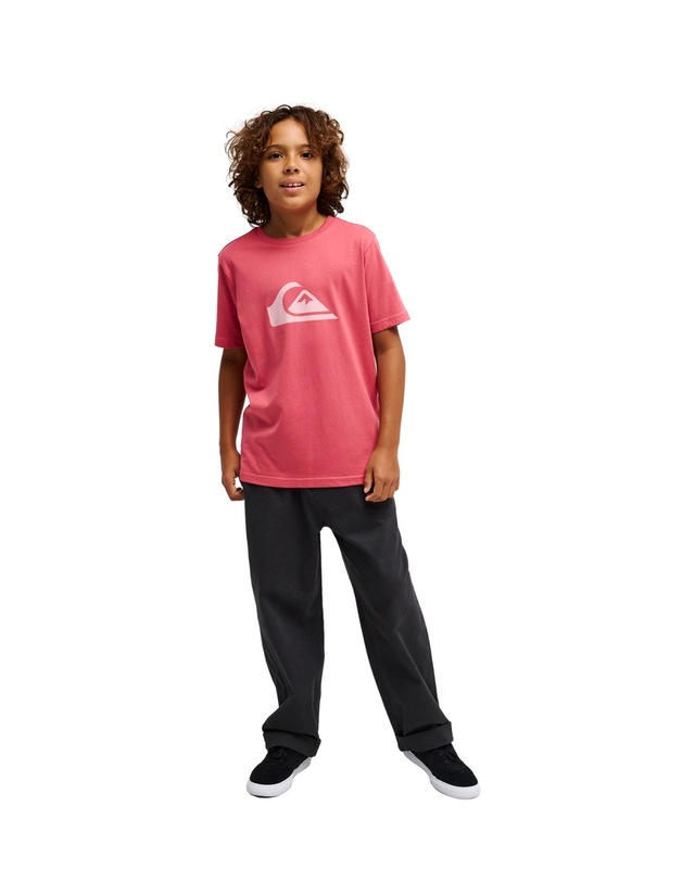 Quiksilver T-Shirt »Ev Comp Logo«