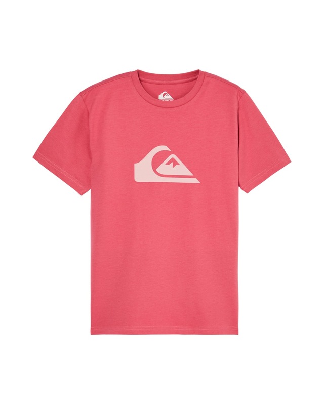 Quiksilver T-Shirt »Ev Comp Logo«