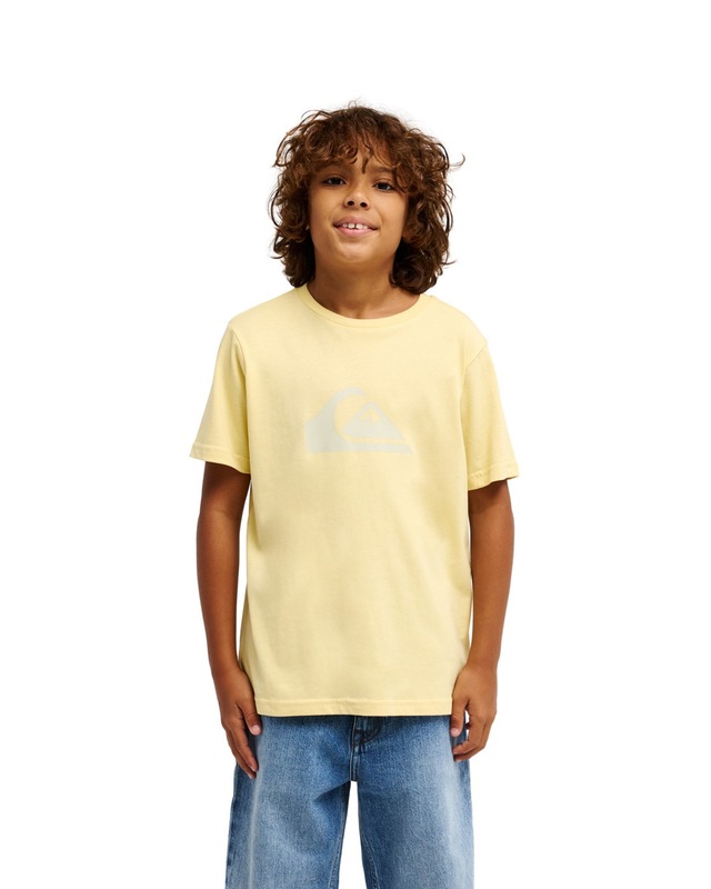 Quiksilver T-Shirt »Ev Comp Logo«
