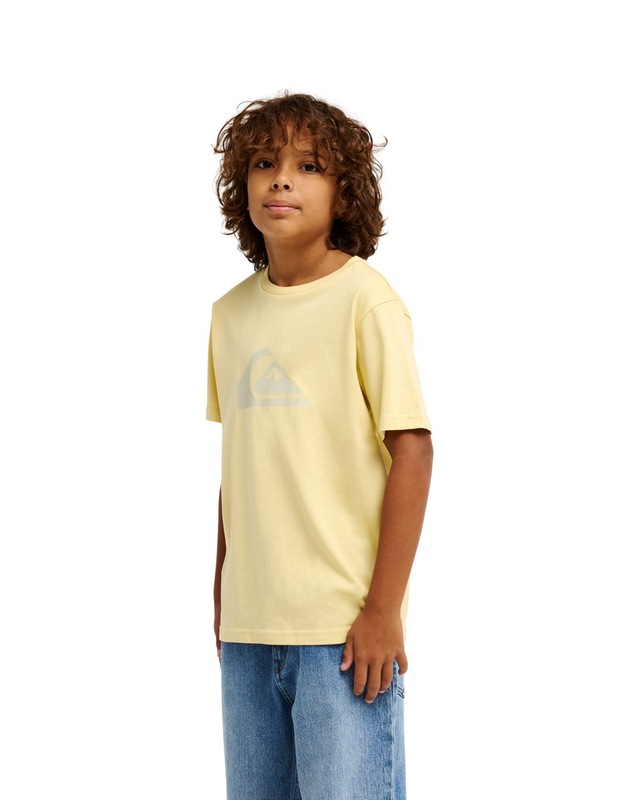Quiksilver T-Shirt »Ev Comp Logo«