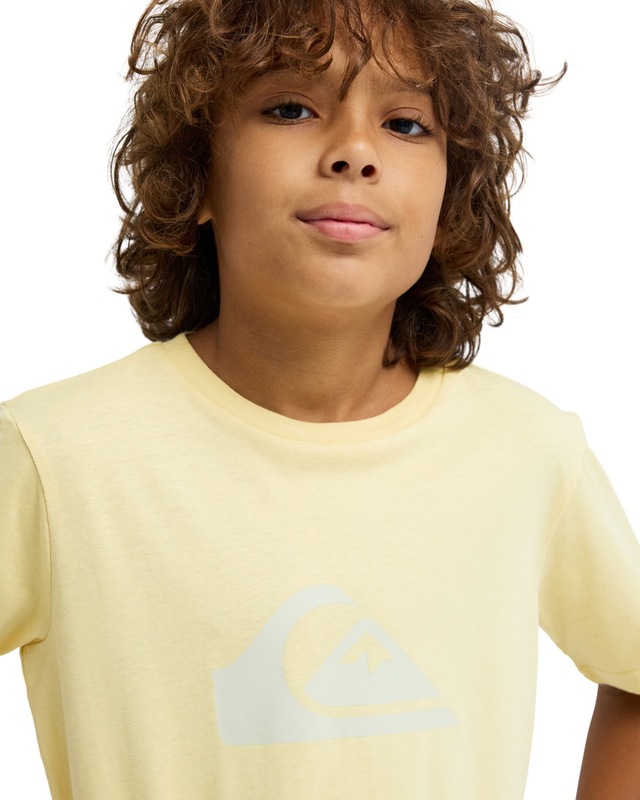 Quiksilver T-Shirt »Ev Comp Logo«