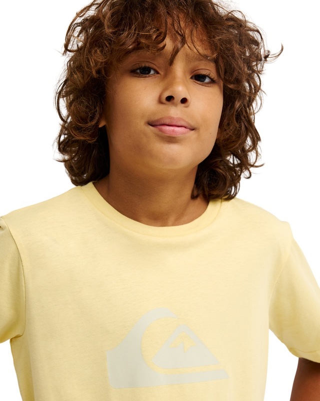 Quiksilver T-Shirt »Ev Comp Logo«