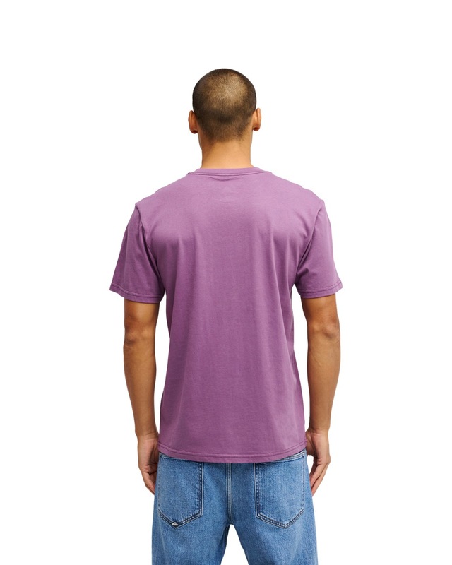 Quiksilver T-Shirt »Ev Comp Logo«