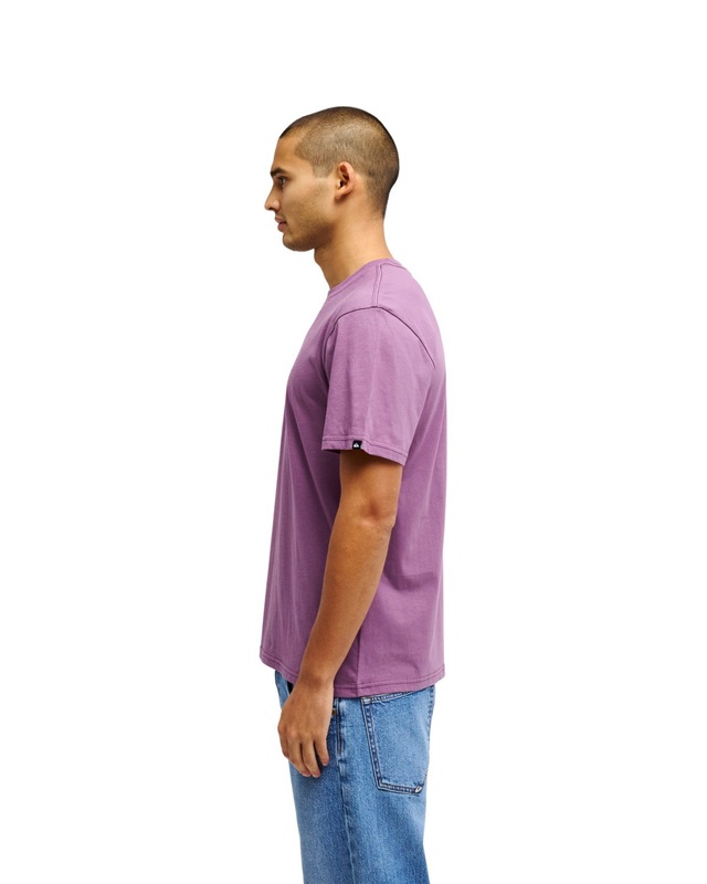 Quiksilver T-Shirt »Ev Comp Logo«