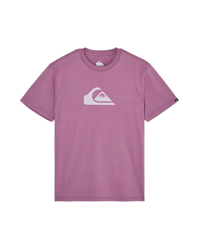 Quiksilver T-Shirt »Ev Comp Logo«