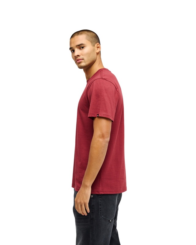 Quiksilver T-Shirt »Ev Comp Logo«