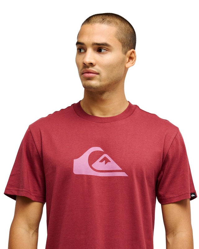 Quiksilver T-Shirt »Ev Comp Logo«