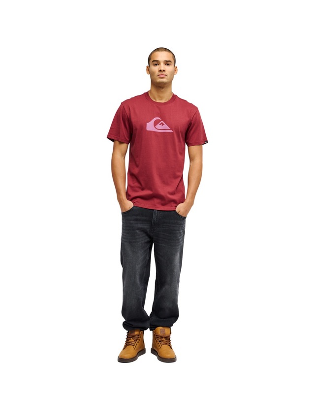 Quiksilver T-Shirt »Ev Comp Logo«