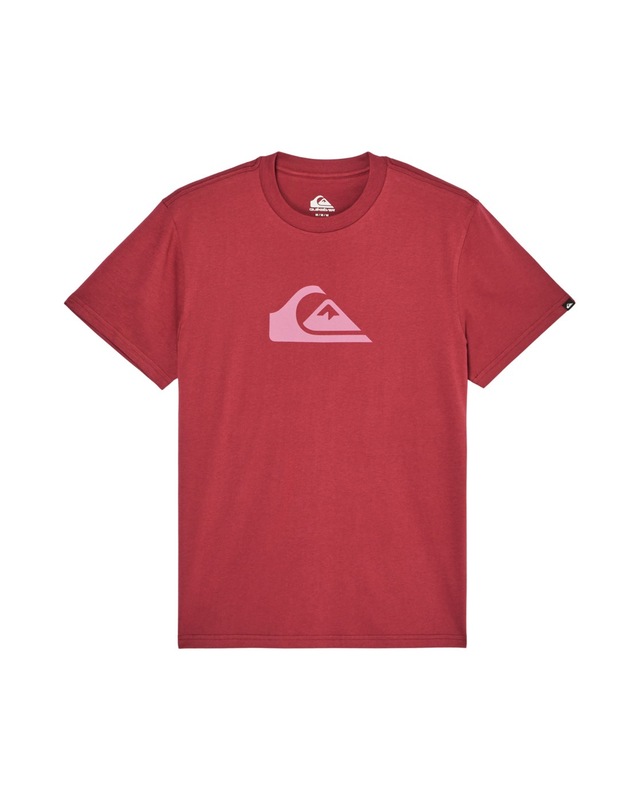 Quiksilver T-Shirt »Ev Comp Logo«