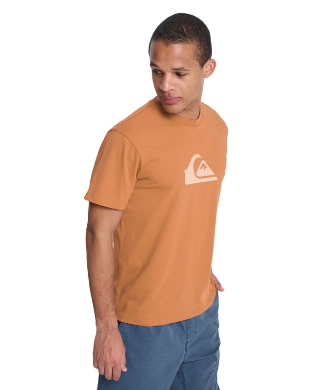 Quiksilver T-Shirt »Ev Comp Logo«