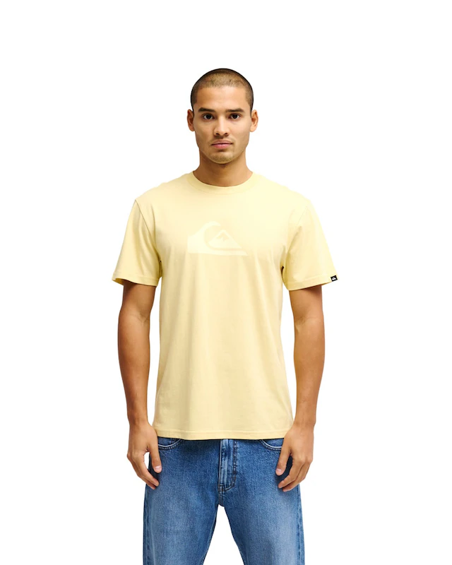 Quiksilver T-Shirt »Ev Comp Logo«