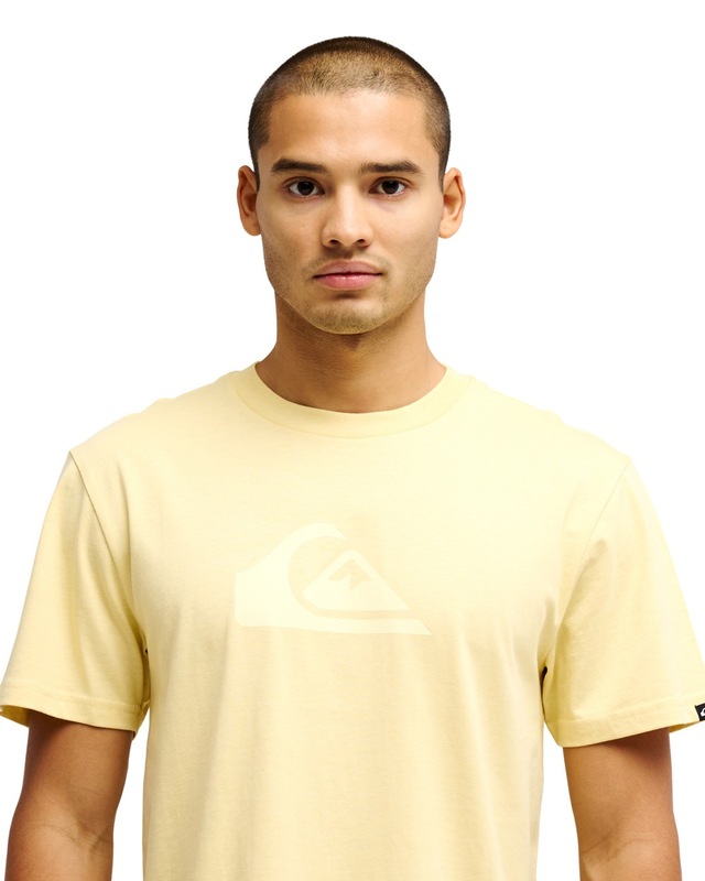 Quiksilver T-Shirt »Ev Comp Logo«