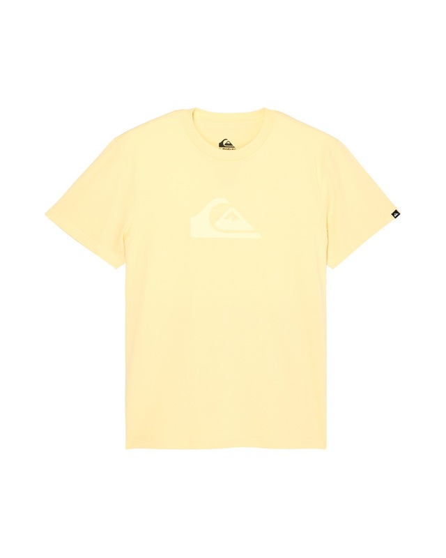 Quiksilver T-Shirt »Ev Comp Logo«