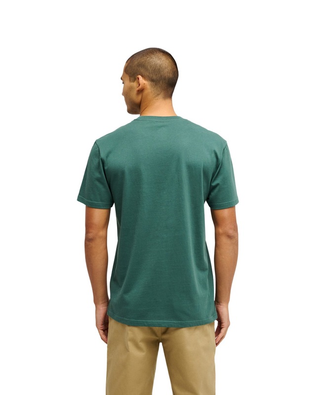 Quiksilver T-Shirt »Ev Comp Logo«