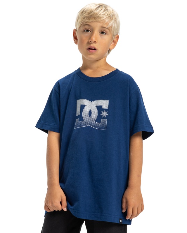DC Shoes T-Shirt »DC Star Reflective«