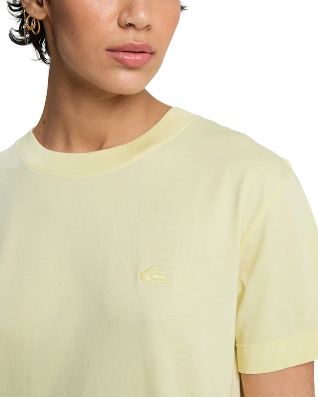 Quiksilver T-Shirt »Essential«
