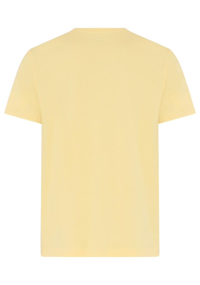 DELMAO Rundhalsshirt »Neue Kollektion!« normale Passform, kurzarm, bedruckt, mit Rundhalsausschnitt