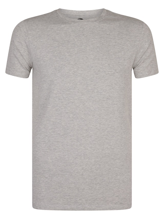 Petrol Industries T-Shirt »Men Body Fit R-Neck - 2PACK« Packung, 2er-, Auch ideal zum Unterziehen
