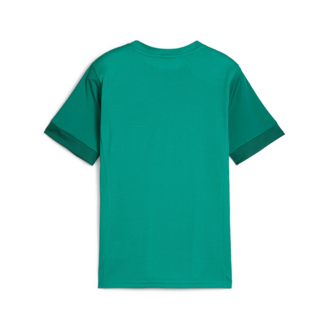 PUMA Fußballtrikot »TEAMGOAL MATCHDAY JERSEY JR« für Jugendliche, Fußball, Kurzarm, sportlicher Stil, aus Polyester