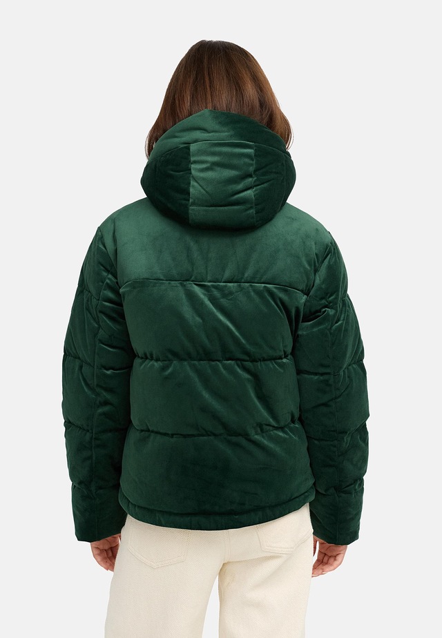Ragwear Steppjacke »Roobie Velvet YOUMODO« mit Kapuze Gesteppte Teddyjacke in Samtoptik mit Kapuze