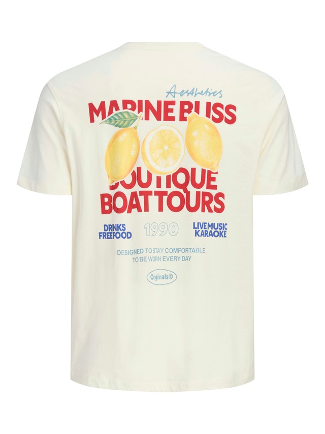 Jack & Jones PlusSize T-Shirt »JORRIVIERA VINTAGE POSTER BACK TEE PLS« mit Print