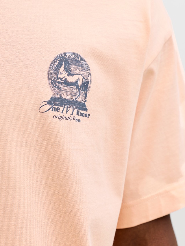 Jack & Jones Kurzarmshirt »JORMAINE BACK TEE SS CREW NECK SN« Baumwolle, relaxed fit
