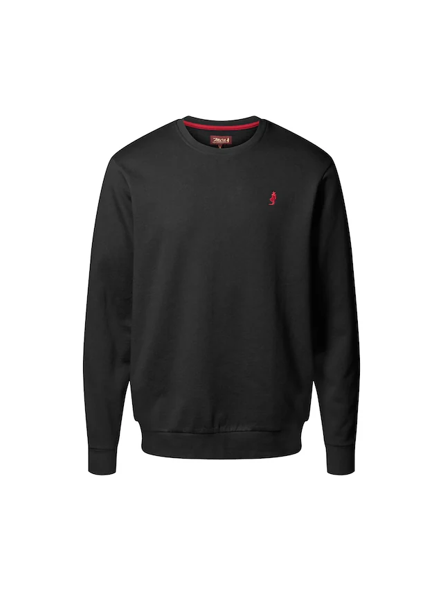 MCS Rundhalspullover »MCS sweatshirt MCSkyler«